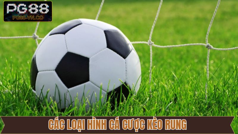 Kèo Rung - Cách Đọc Tỷ Lệ Cược Khi Cá Độ Bóng Đá Tại PG88 3 Các tỷ lệ cược khi cá độ Running tại PG88