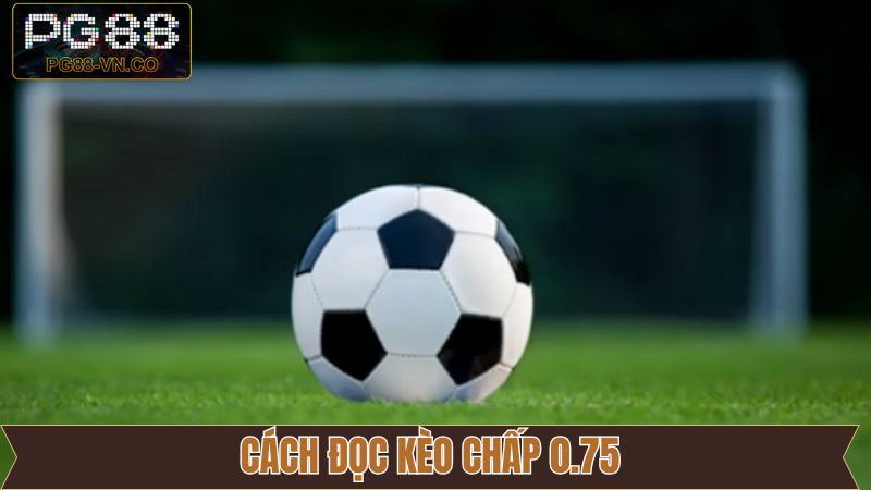 Hướng dẫn đọc kèo chấp 0.75 chính xác cho tân thủ