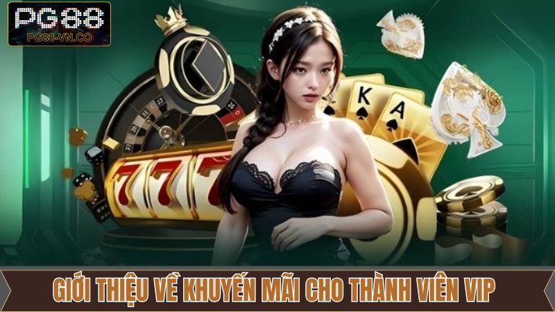 Đôi nét về cơ hội nhận thưởng cho thành viên VIP